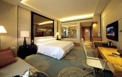 Modern deluxe business suite