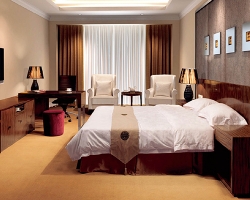 Modern standard double room