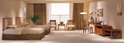 Modern standard double room
