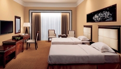 Modern standard double room